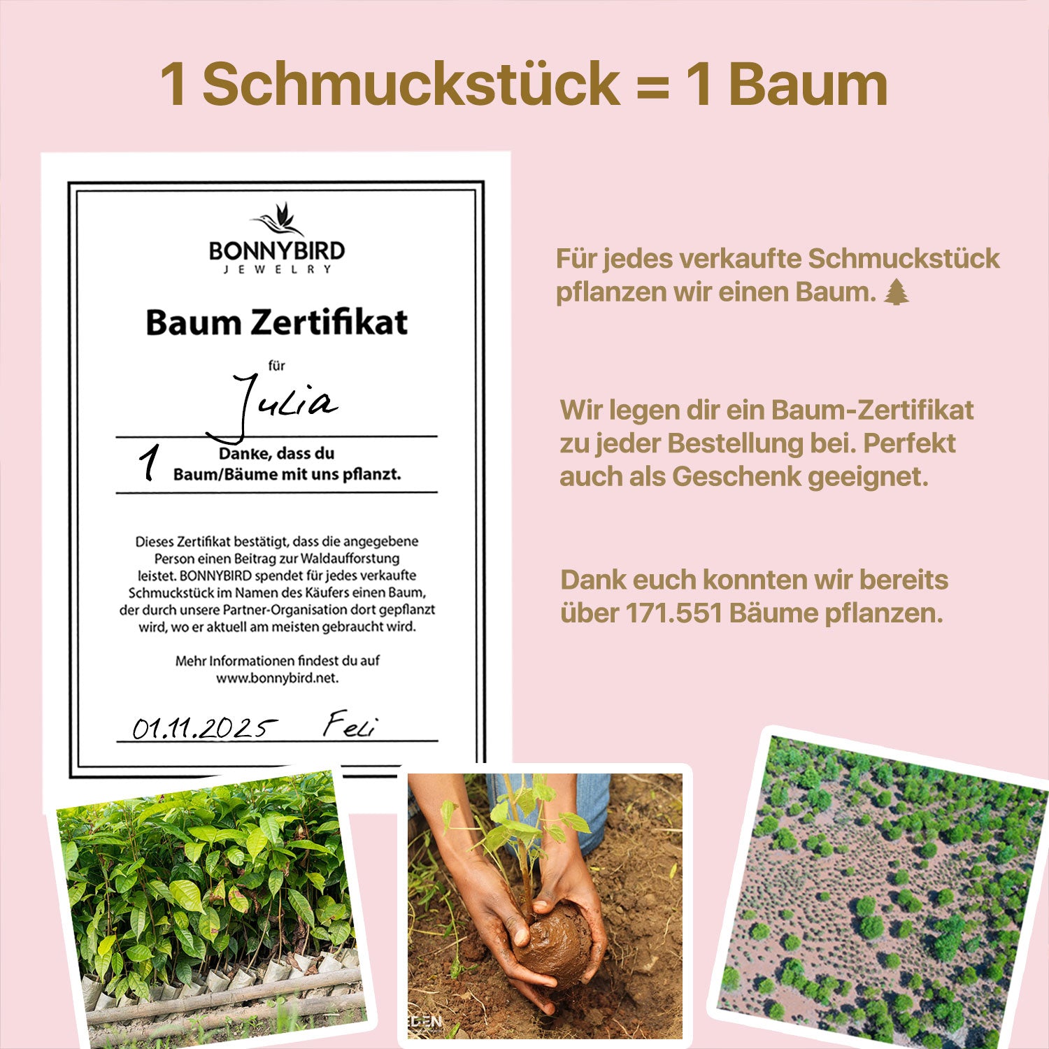 Baum Zertifikat - Ein Baum je Schmuckstück