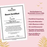 BonnyWorld Armband Weltkugel Gold - BONNYBIRD